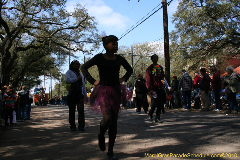 Krewe-of-Carrollton-New-Orleans-Mardi-Gras-4607