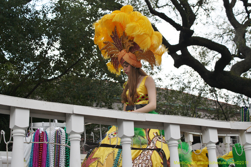 Krewe-of-Carrollton-2011-0225