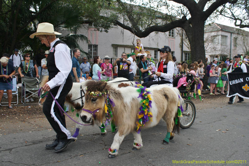 Krewe-of-Carrollton-2011-0268