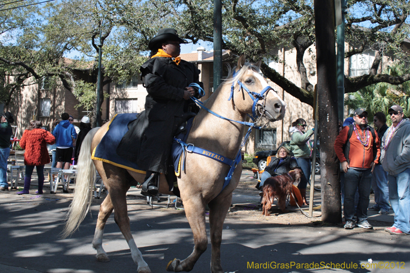 Krewe-of-Carrollton-2012-0170