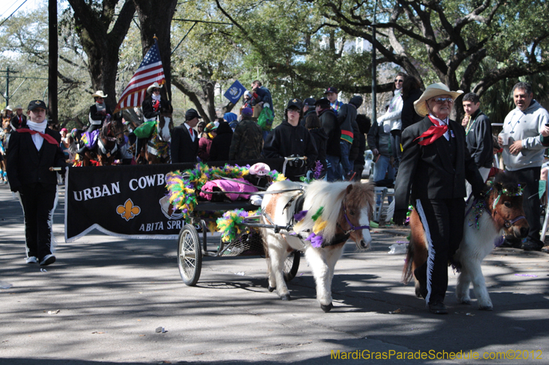 Krewe-of-Carrollton-2012-0208