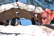 Krewe-of-Carrollton-2012-0195