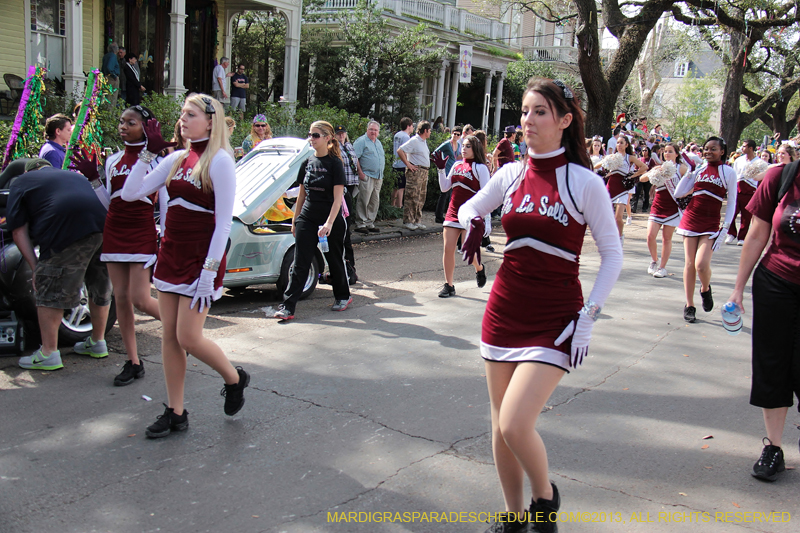 Krewe-of-Carrollton-2013-1105