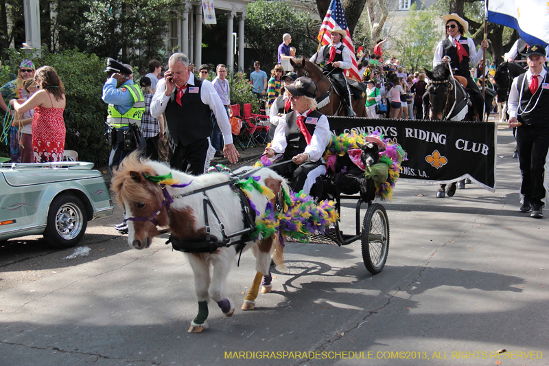 Krewe-of-Carrollton-2013-1118