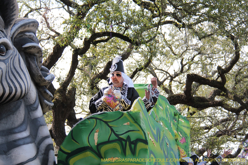 Krewe-of-Carrollton-2013-1225