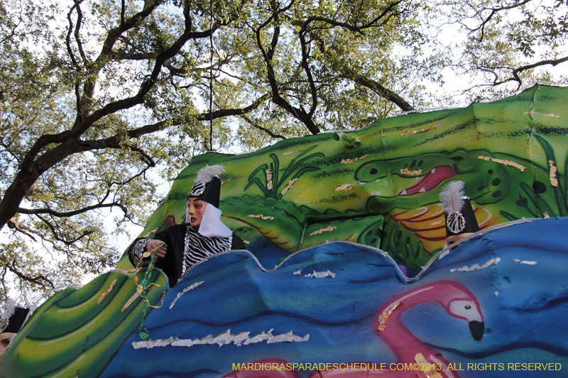 Krewe-of-Carrollton-2013-1229