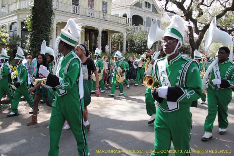 Krewe-of-Carrollton-2013-1262