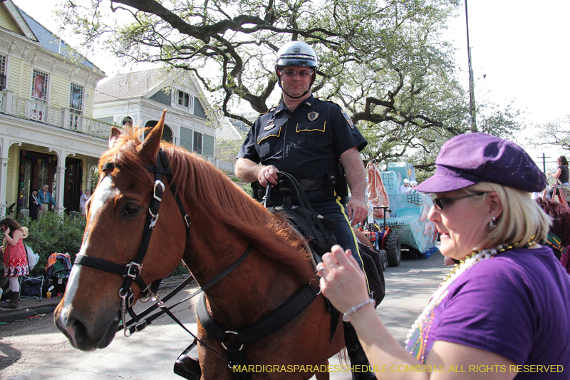 Krewe-of-Carrollton-2013-1275