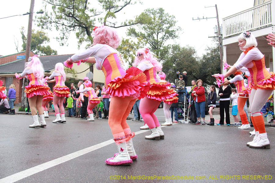 2014-Krewe-of-Carrollton11106