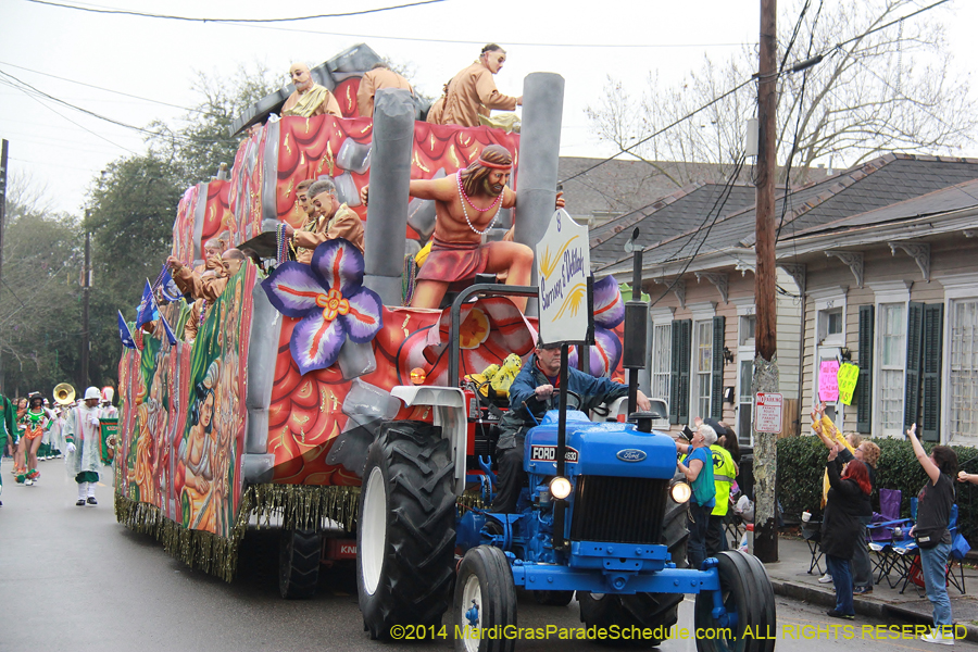 2014-Krewe-of-Carrollton11108