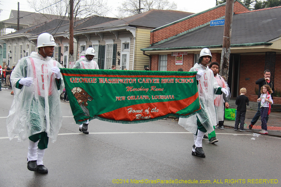 2014-Krewe-of-Carrollton11116