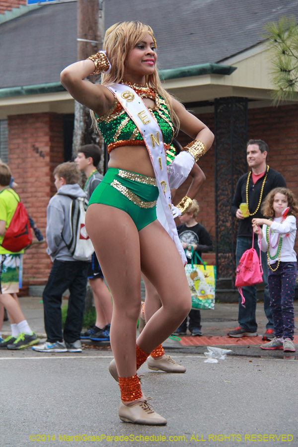 2014-Krewe-of-Carrollton11117