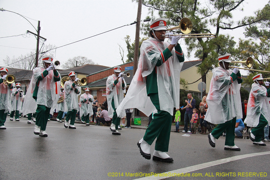 2014-Krewe-of-Carrollton11118