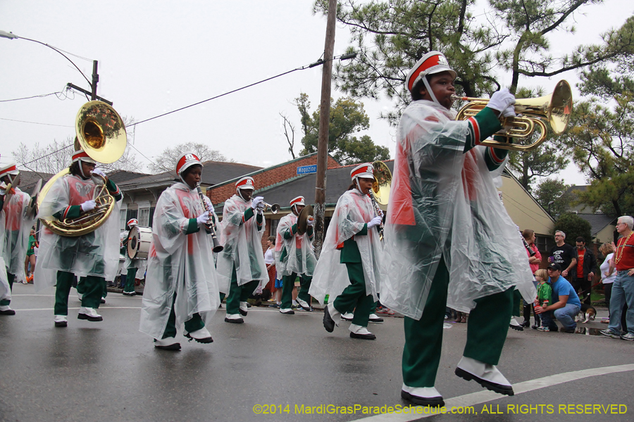 2014-Krewe-of-Carrollton11119