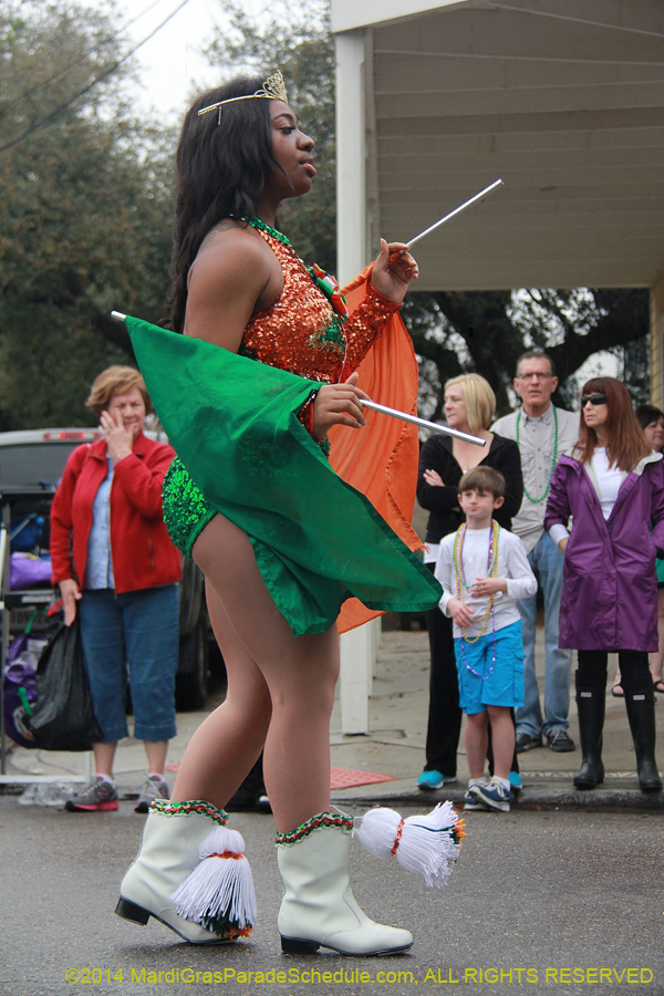 2014-Krewe-of-Carrollton11121