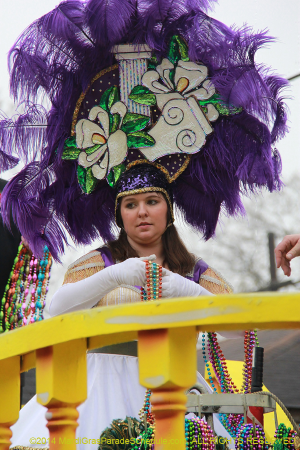 2014-Krewe-of-Carrollton11124