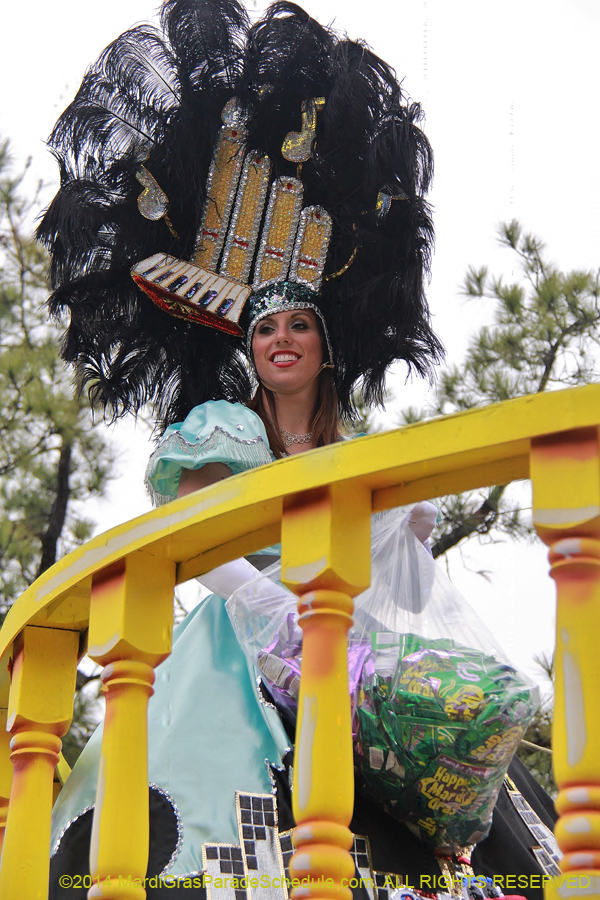 2014-Krewe-of-Carrollton11126