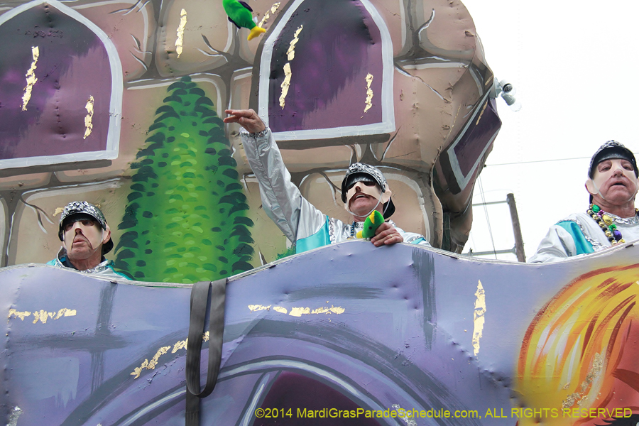 2014-Krewe-of-Carrollton11131