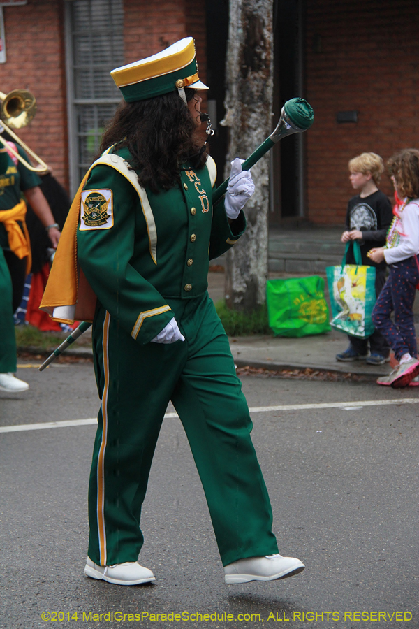 2014-Krewe-of-Carrollton11134