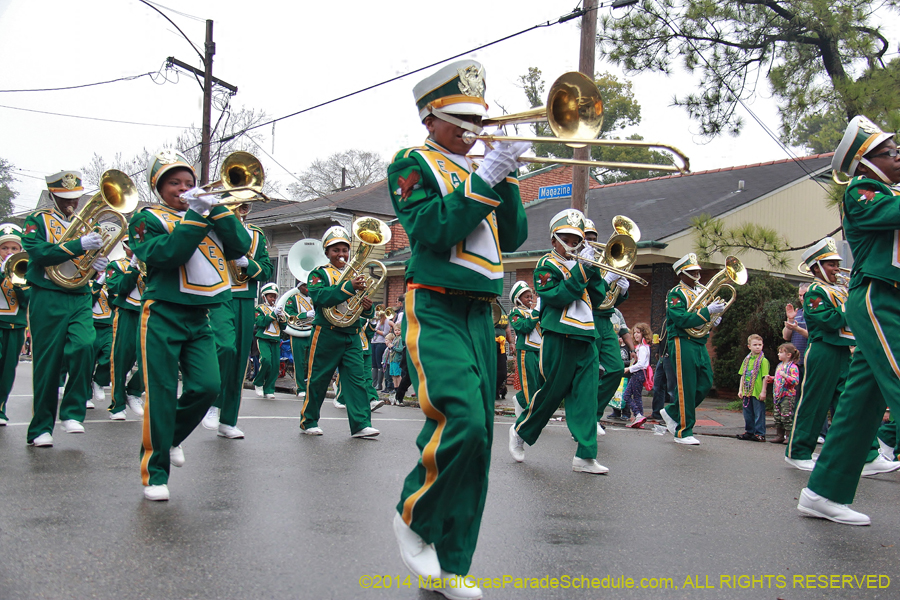 2014-Krewe-of-Carrollton11135