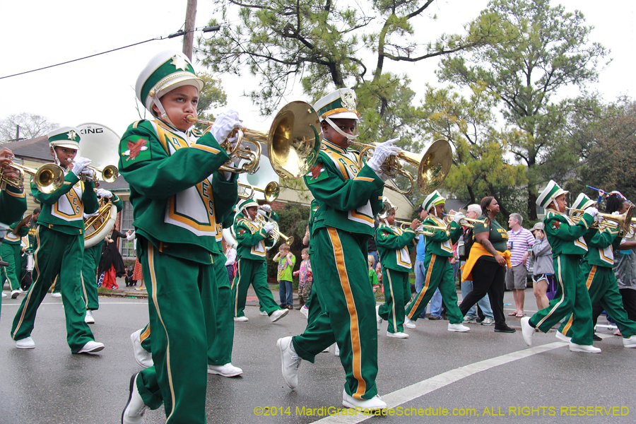 2014-Krewe-of-Carrollton11136