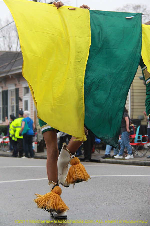 2014-Krewe-of-Carrollton11139