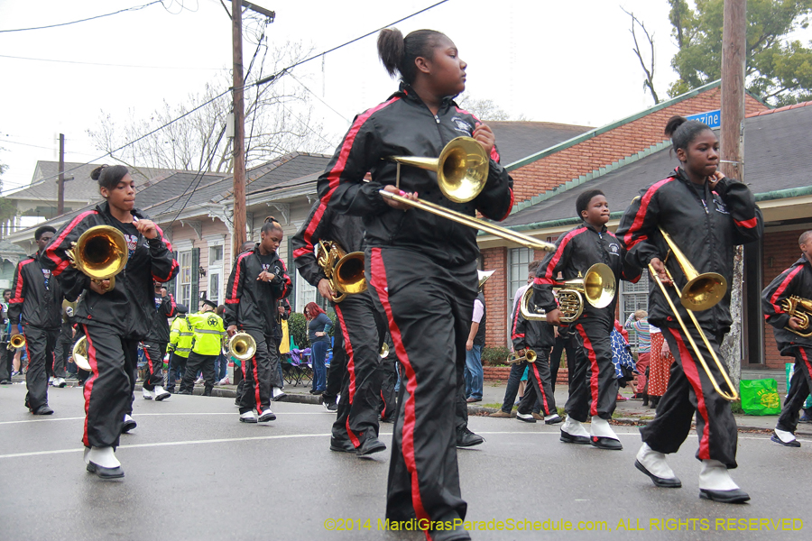 2014-Krewe-of-Carrollton11153