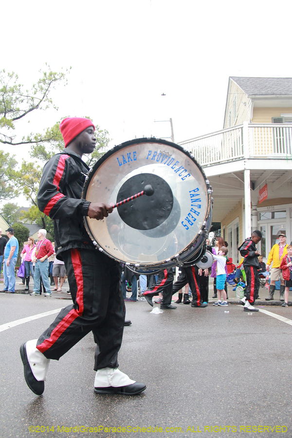 2014-Krewe-of-Carrollton11156