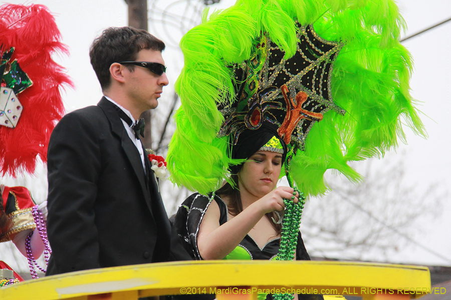 2014-Krewe-of-Carrollton11158