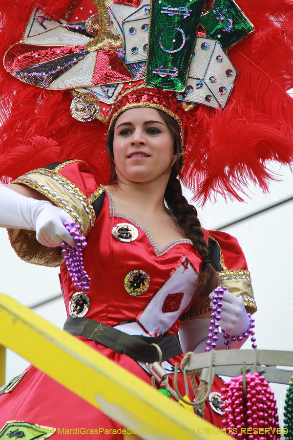 2014-Krewe-of-Carrollton11161