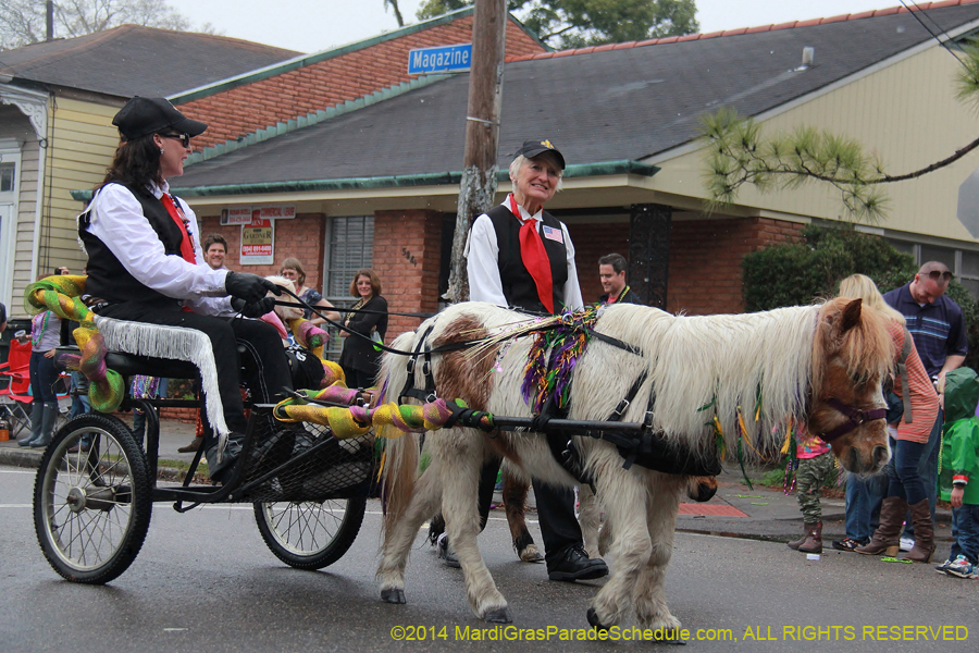 2014-Krewe-of-Carrollton11166