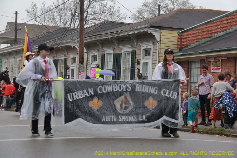 2014-Krewe-of-Carrollton11167