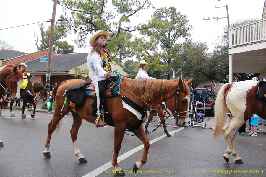 2014-Krewe-of-Carrollton11169