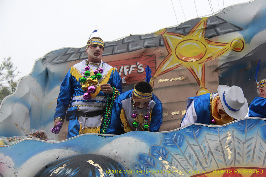 2014-Krewe-of-Carrollton11175