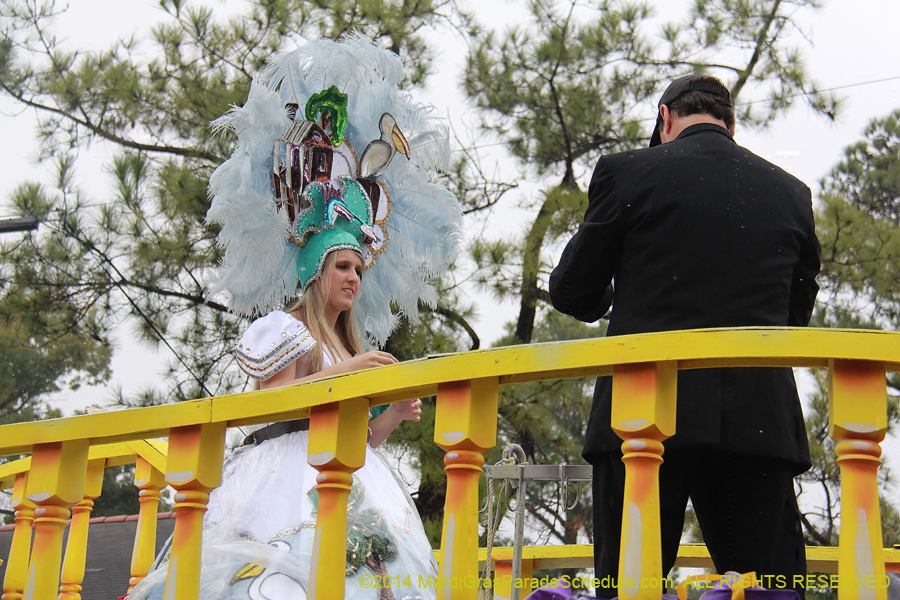 2014-Krewe-of-Carrollton11178