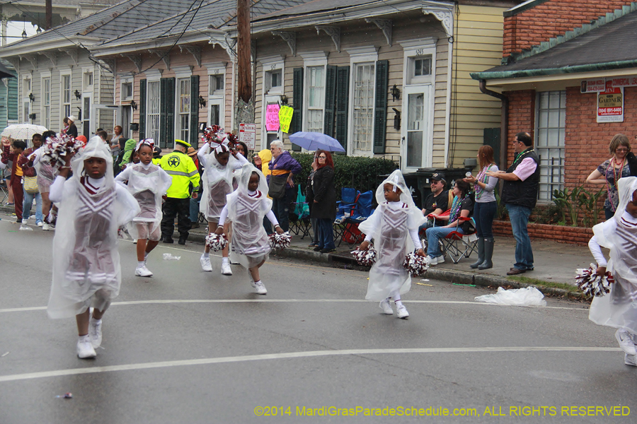 2014-Krewe-of-Carrollton11186