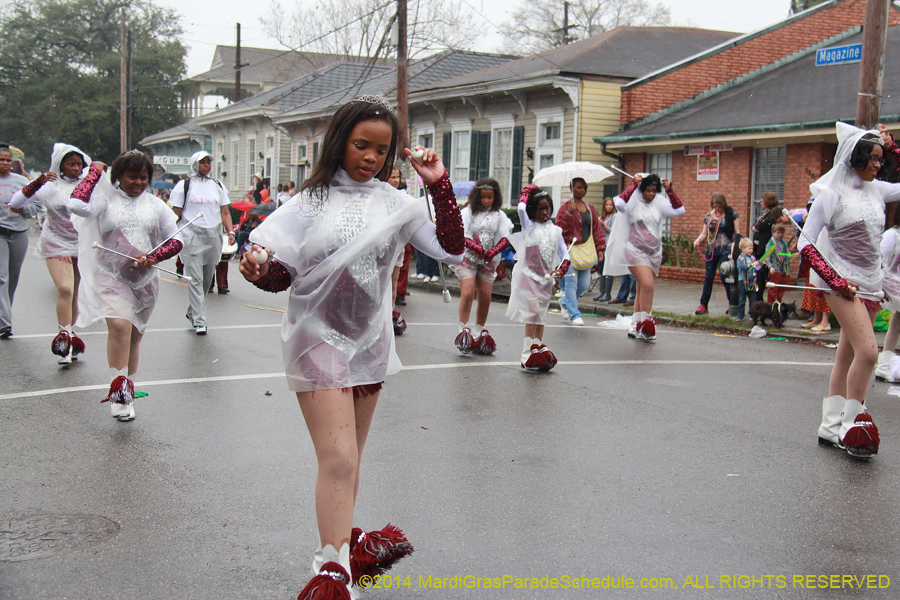 2014-Krewe-of-Carrollton11187