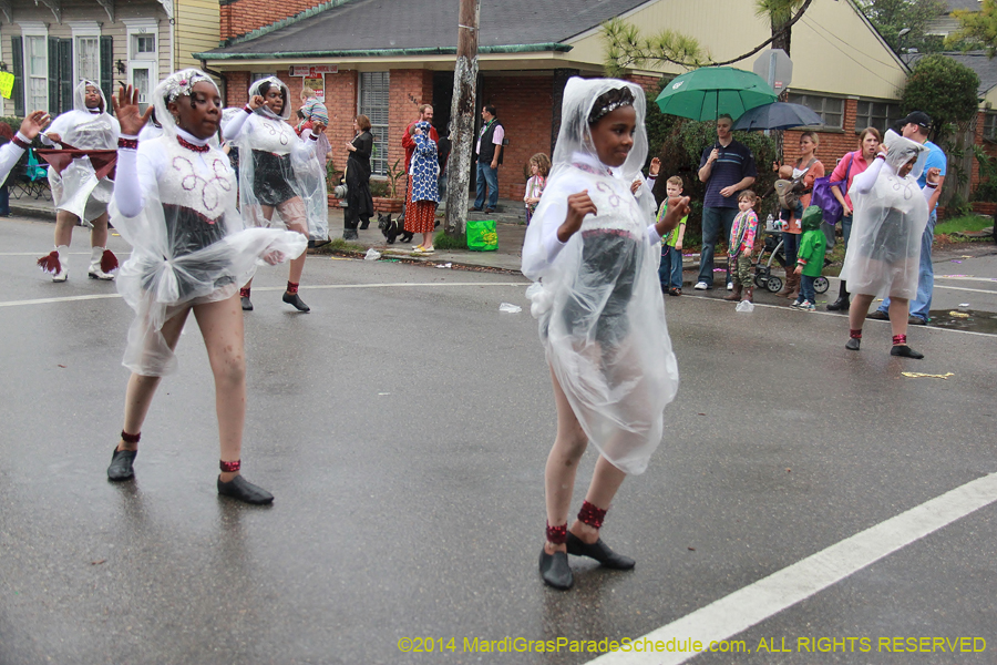 2014-Krewe-of-Carrollton11188