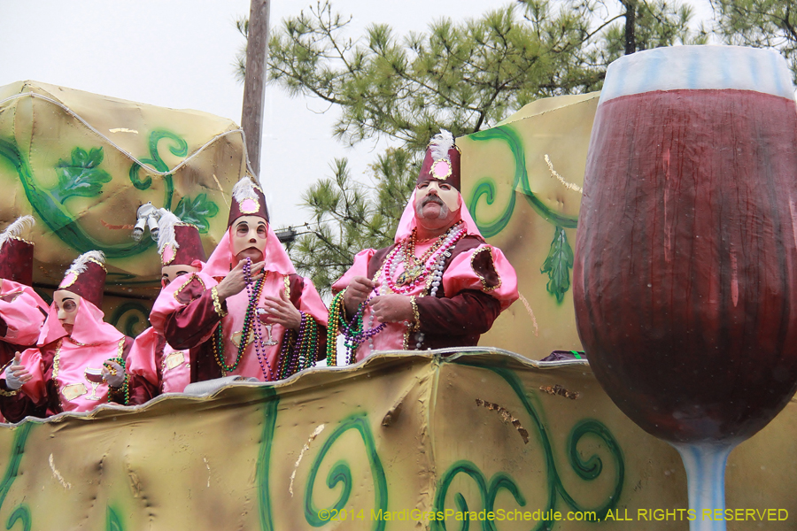 2014-Krewe-of-Carrollton11190