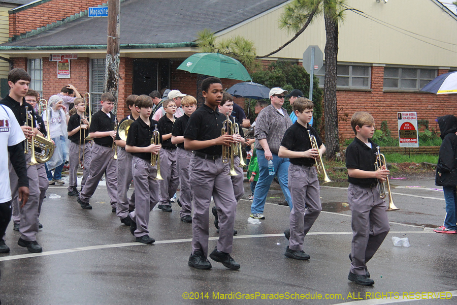 2014-Krewe-of-Carrollton11195