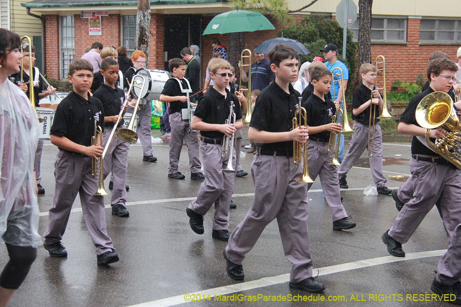 2014-Krewe-of-Carrollton11196