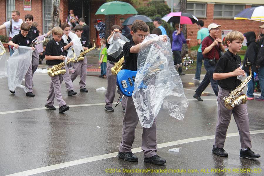 2014-Krewe-of-Carrollton11197