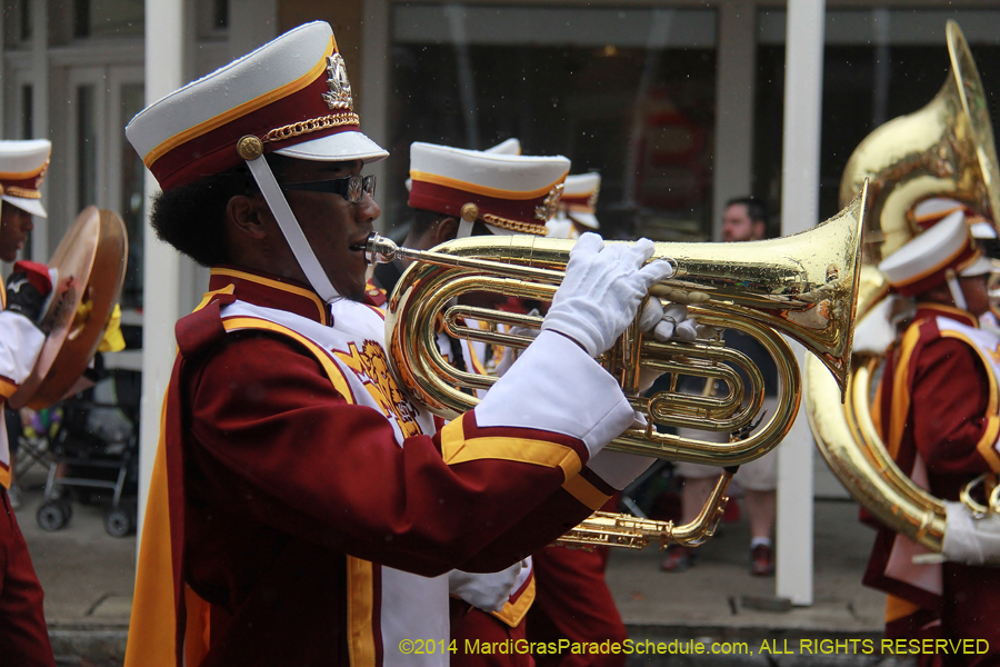 2014-Krewe-of-Carrollton11209