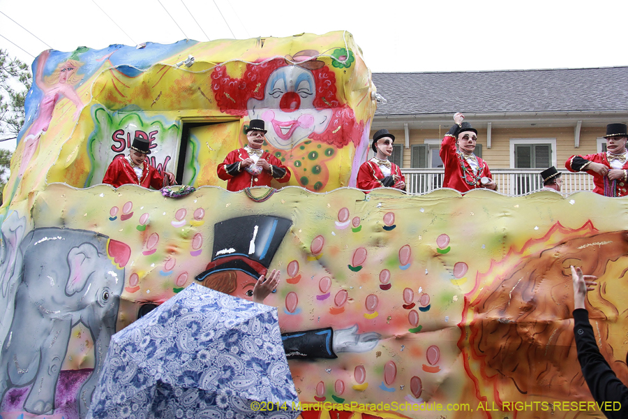 2014-Krewe-of-Carrollton11221