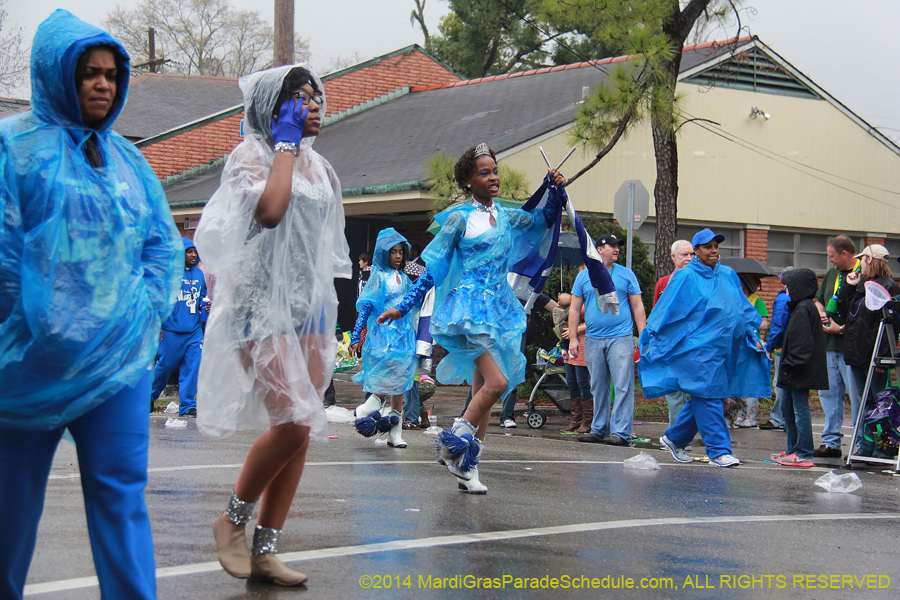 2014-Krewe-of-Carrollton11225