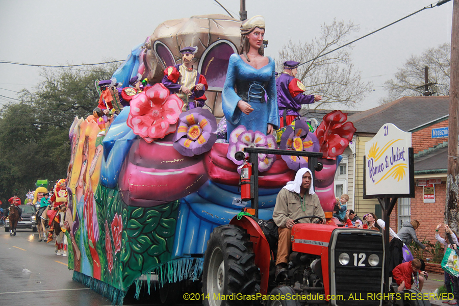 2014-Krewe-of-Carrollton11226