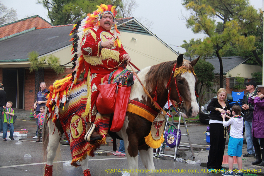 2014-Krewe-of-Carrollton11232