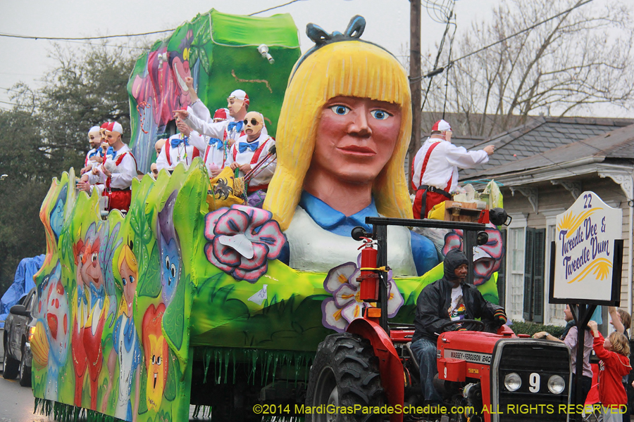 2014-Krewe-of-Carrollton11234