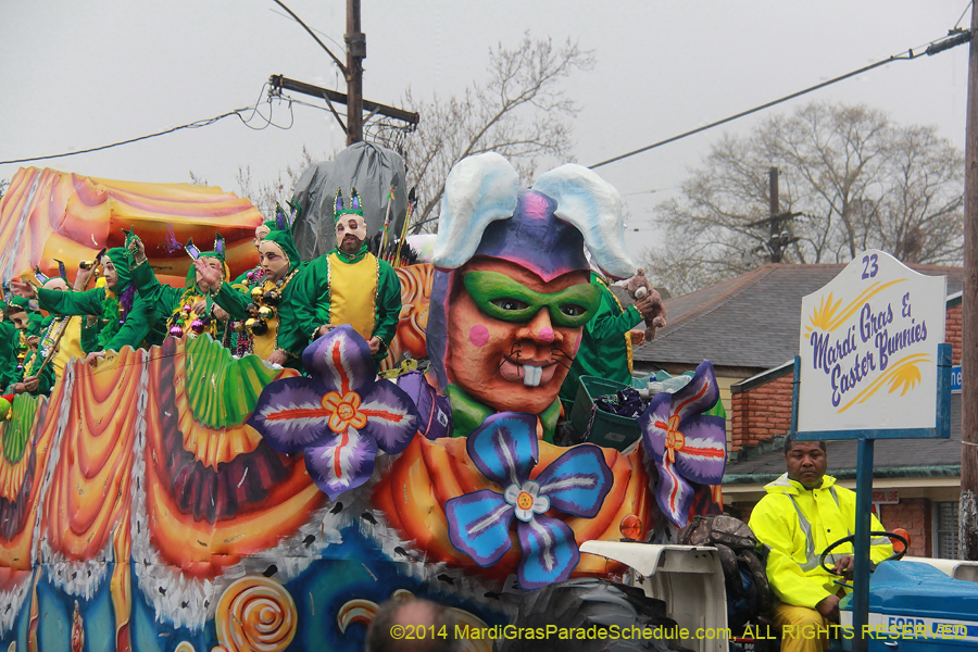 2014-Krewe-of-Carrollton11242