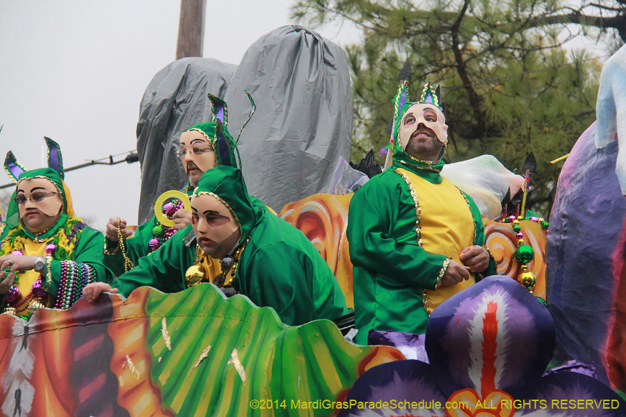 2014-Krewe-of-Carrollton11243